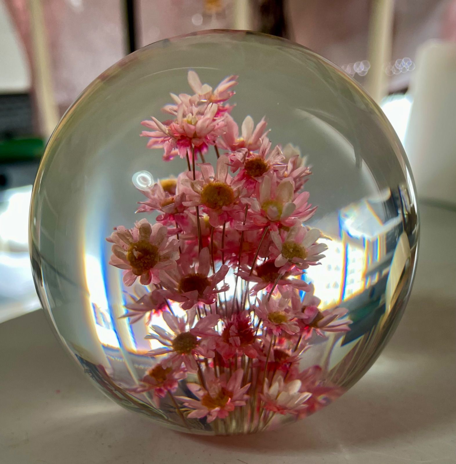 お花のスフィア フラワー 雛菊 アクリル 標本 樹脂 レジン 水中花 置物インテリア