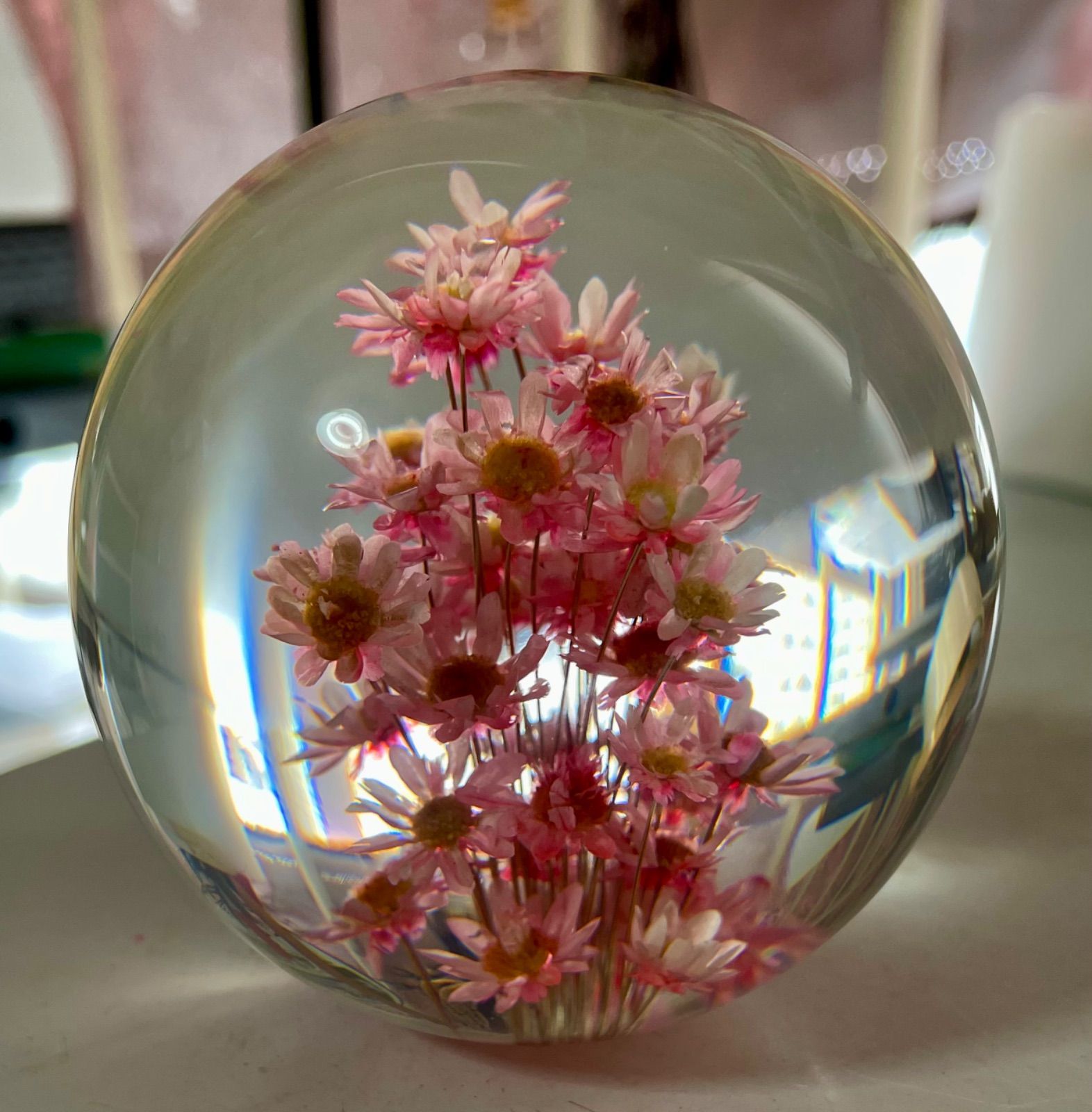 お花のスフィア フラワー 雛菊 アクリル 標本 樹脂 レジン 水中花 置物