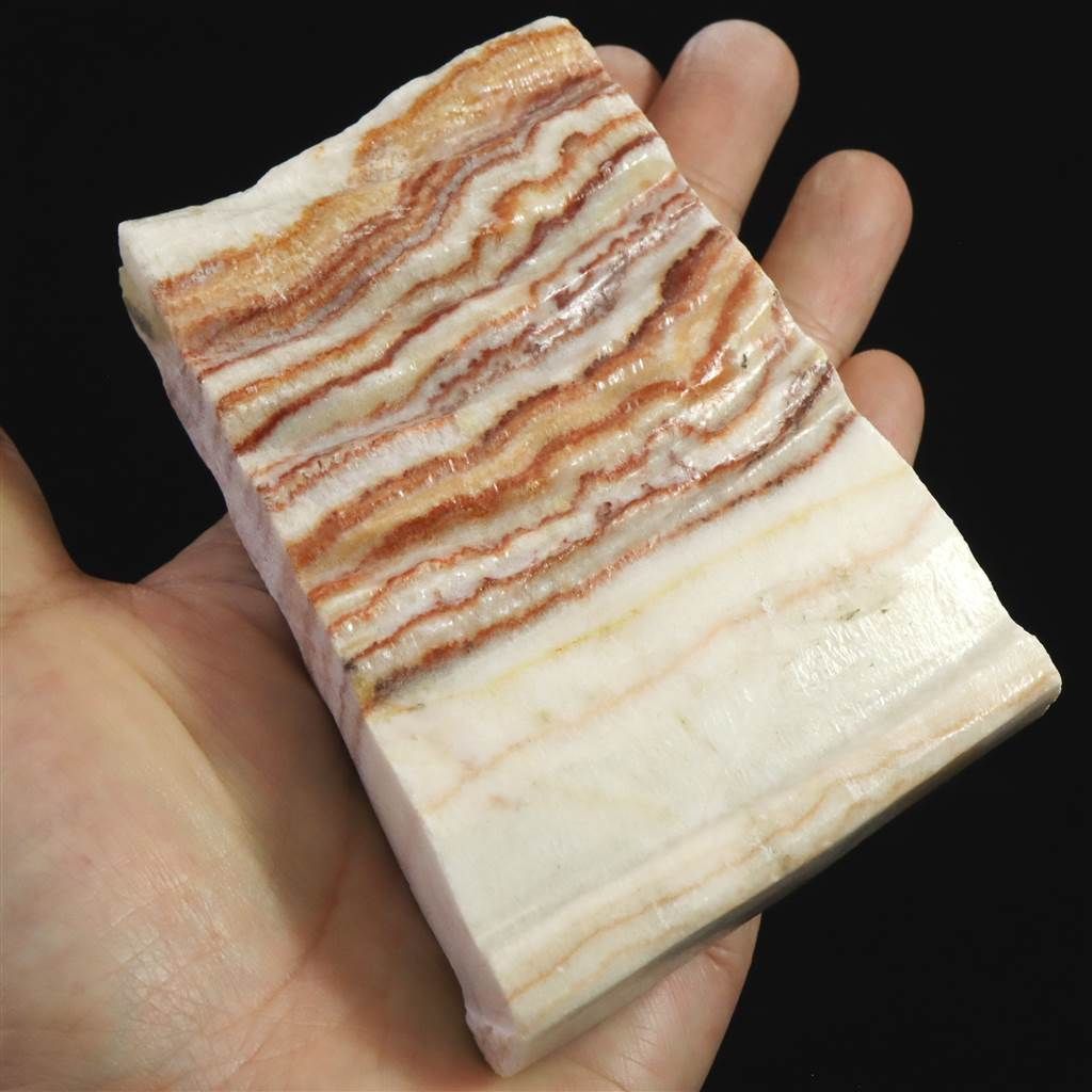 SALE，お得 中国広西州産　豚肉石 346.0g 【榎本通商69952】 置物