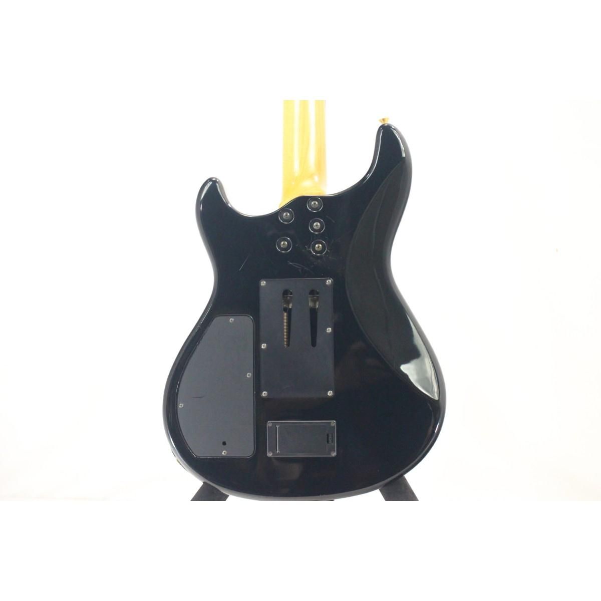 FERNANDES APG-85S WWW_OLIVIERBERNSTEIN_COM