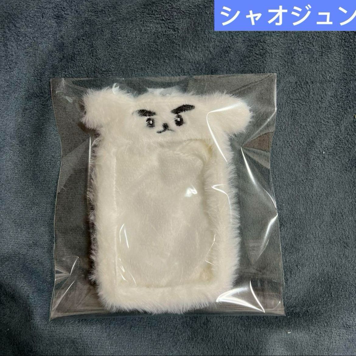 wayv トレカケース　ぬいぐるみケース　新品　マスター wayv トレカケースぬいぐるみケース新品マスター