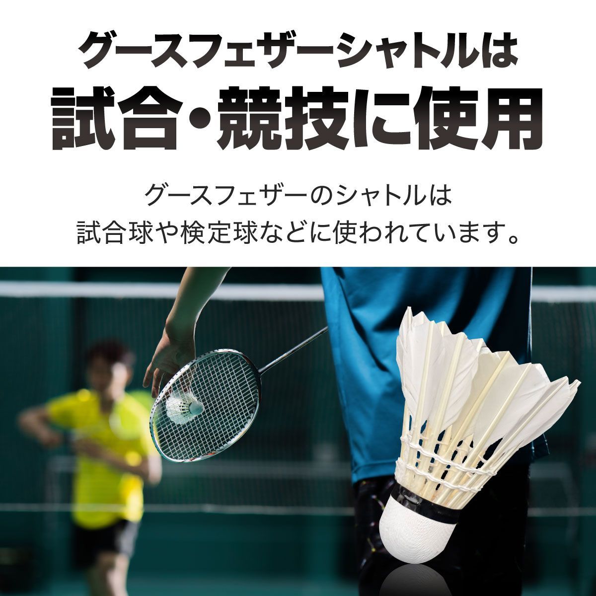 バドミントン シャトル ーVer2ー ガチョウの羽根 12個入り 1