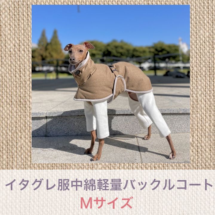 イタグレ服 M 中綿軽量バックルコートdoggystarイタリアングレーハウンド