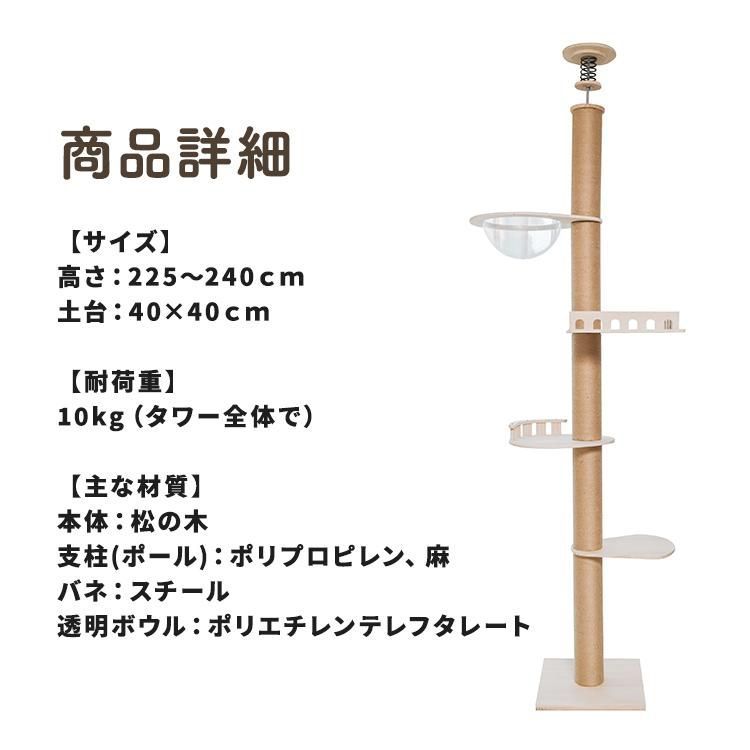 ✟ 公式