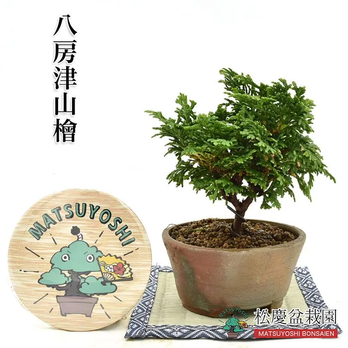 2025年最新】津山ヒノキの人気アイテム - メルカリ