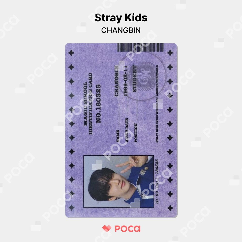 straykids チャンビン スキズ トレカ Stray Kids 4TH FANMEETING