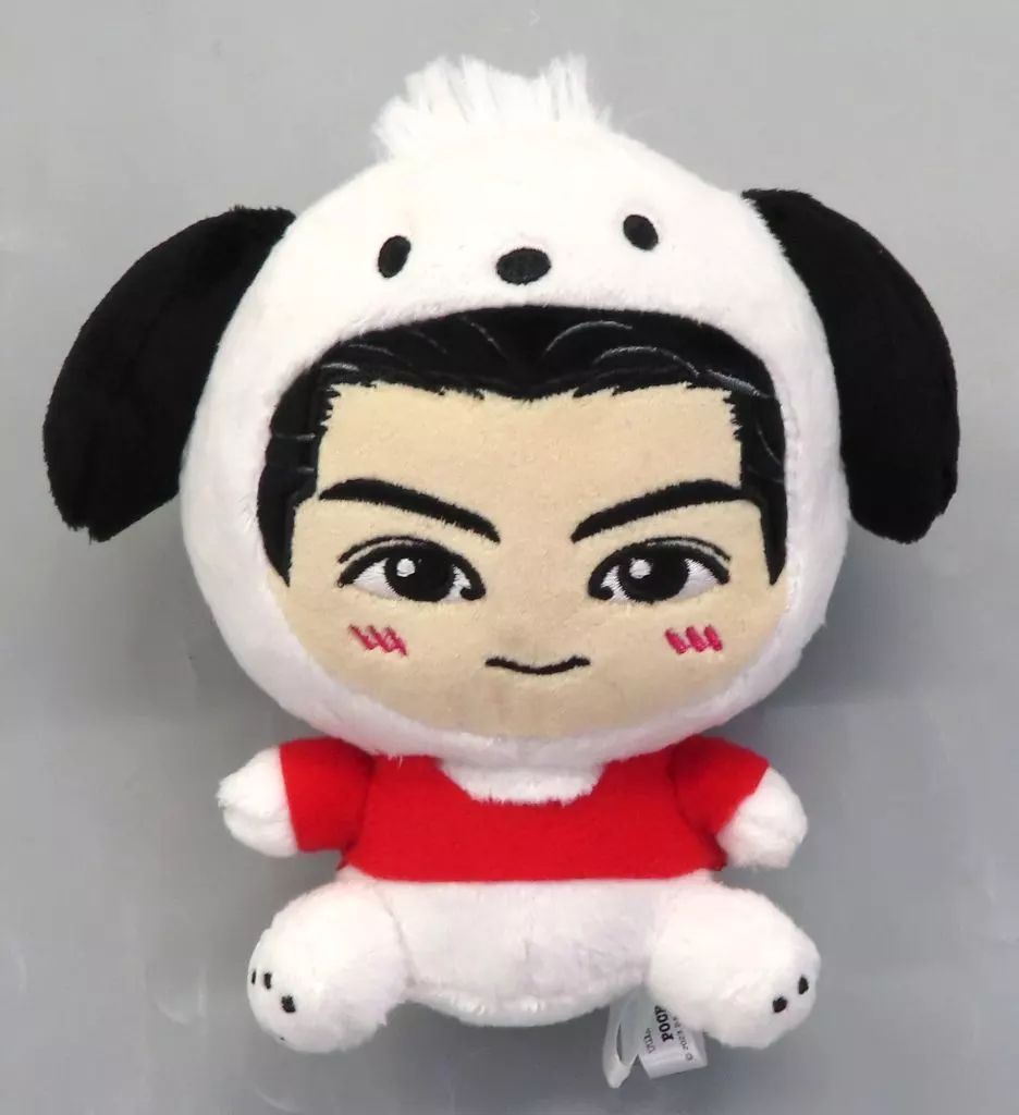 Amazon.co.jp: 長谷川慎 ぬいぐるみ rampage ちびぬい : Toys