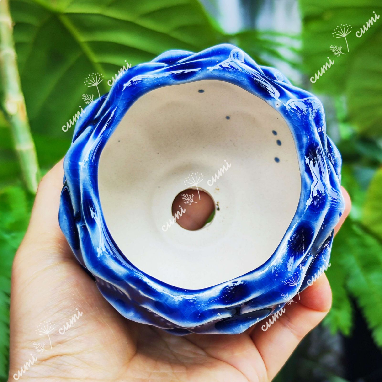 韓国 小鉢 ピブルー 蓮の花 植木鉢 おしゃれ 陶器鉢 多肉 植物 鉢植え 