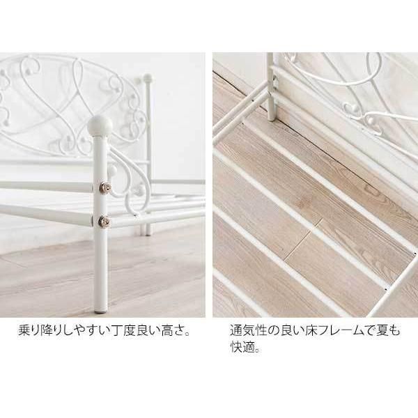鉄 プリンセスチック