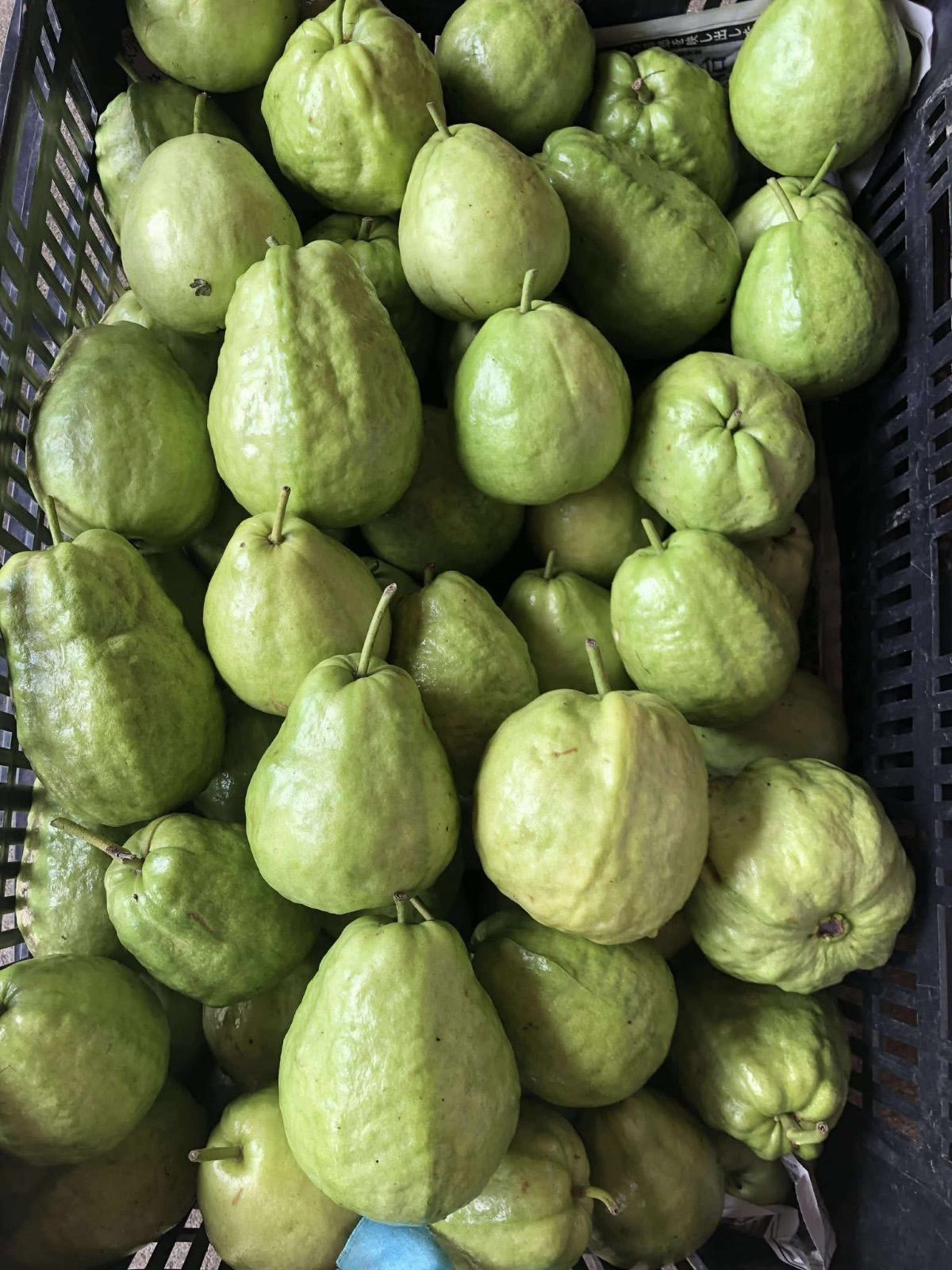 沖縄産グアバ 1kg 甘くてジューシー - メルカリ