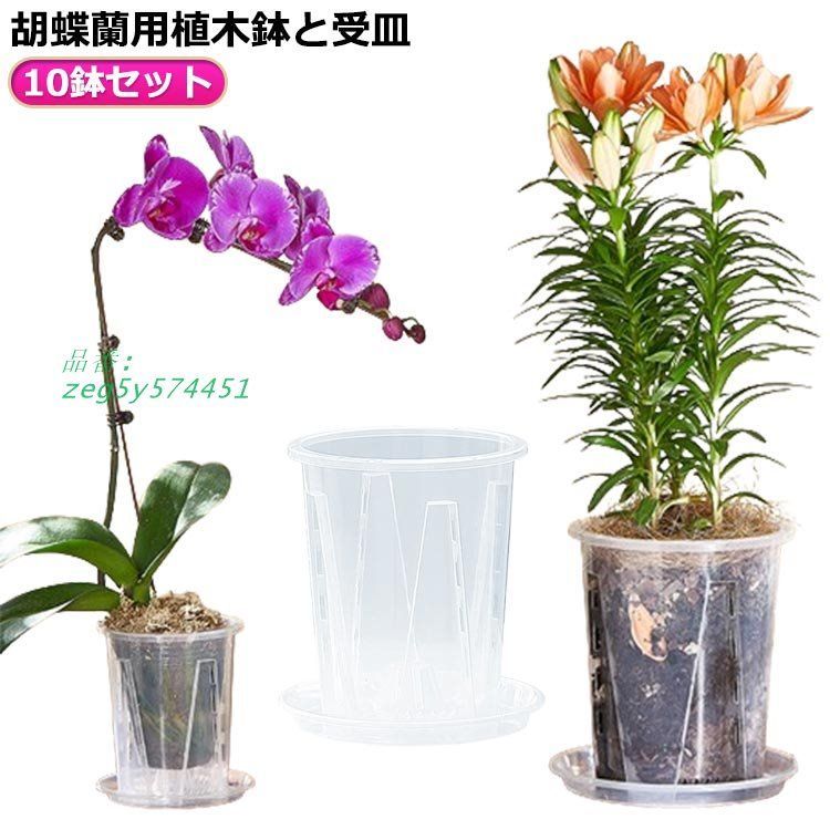植木鉢 胡蝶蘭専用 プラスチック 蝶蘭 10鉢セット 植木鉢 オー