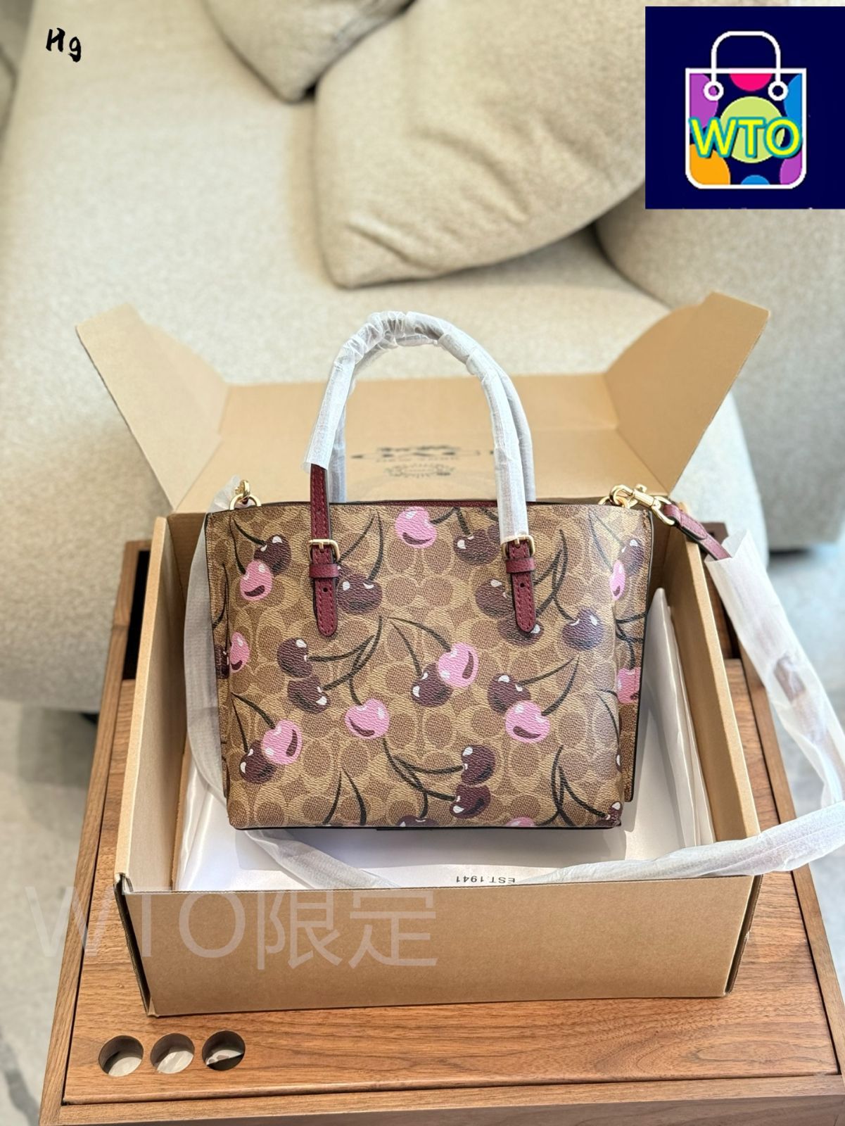 今日特価】チェリーコレクション Coach Mollie 25 トートバッグ