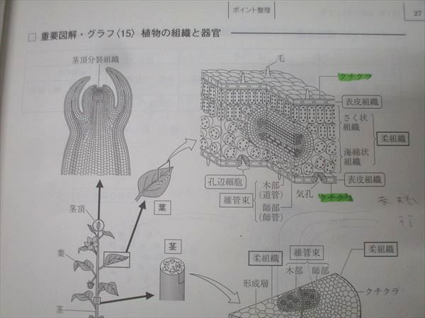 駿台 生物H Part1/2 テキスト通年セット 2017 計4冊 伊藤和修