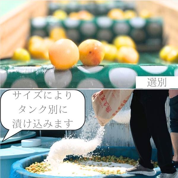 800g×６袋入り 4.8キロの大容量