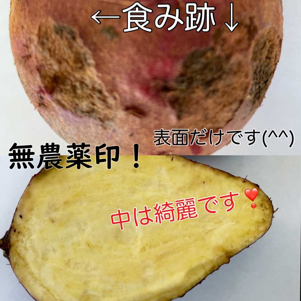 のサムネイル