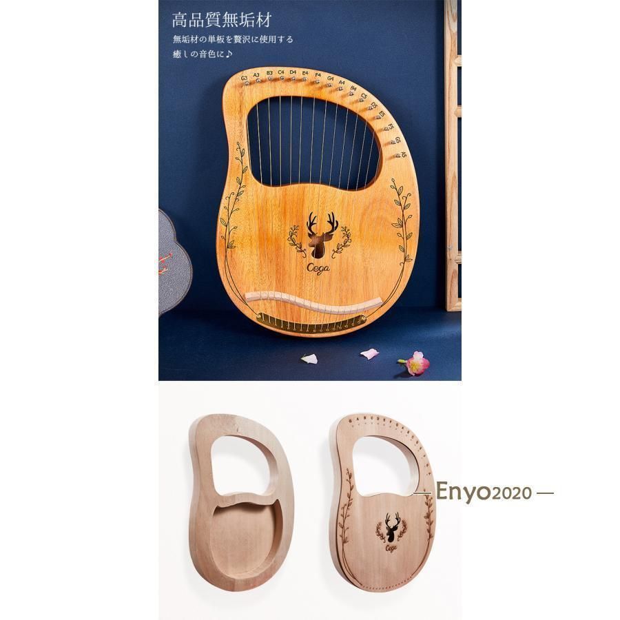 セット 入門楽器