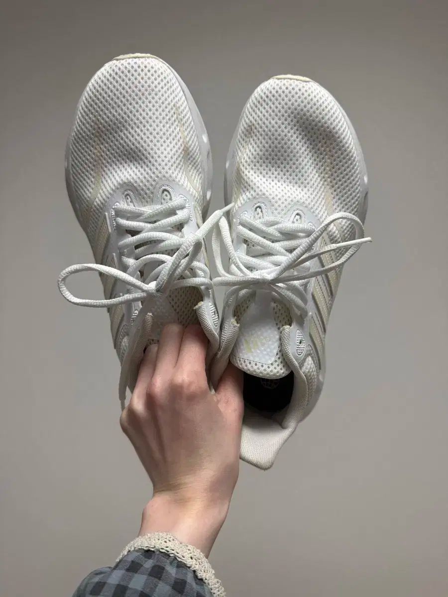 adidas(アディダス) スニーカー 240