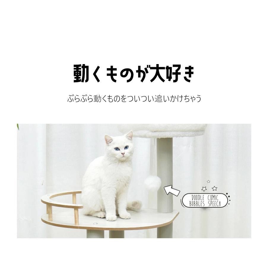 安定 運動不足解消