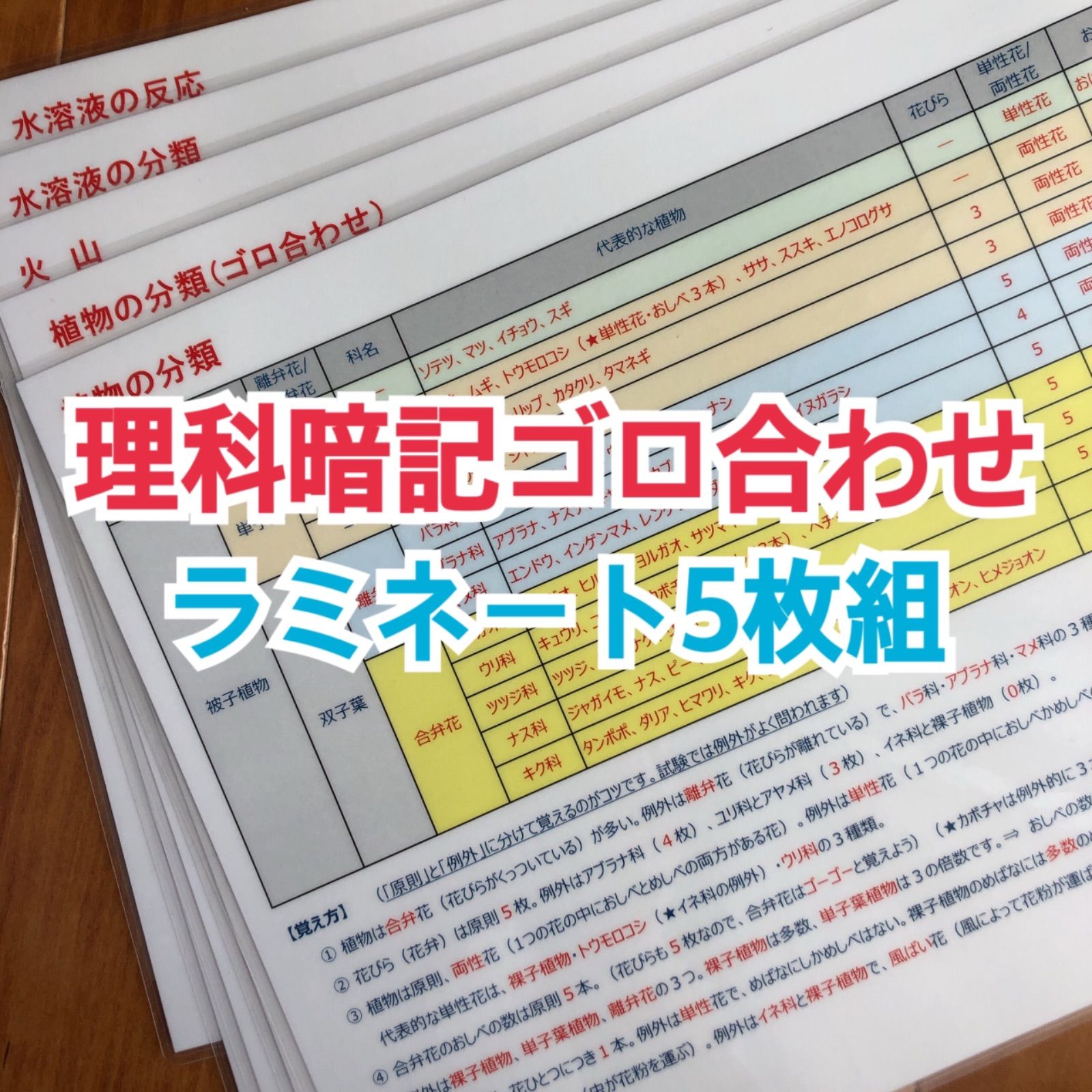 超人気新品 新品 未使用 中学受験 理科暗記ゴロ合わせ 参考書 Www Afdservex Es Www Afdservex Es