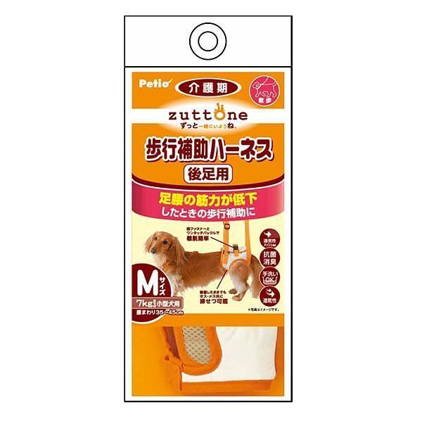 30 山採り コバノガマズミ