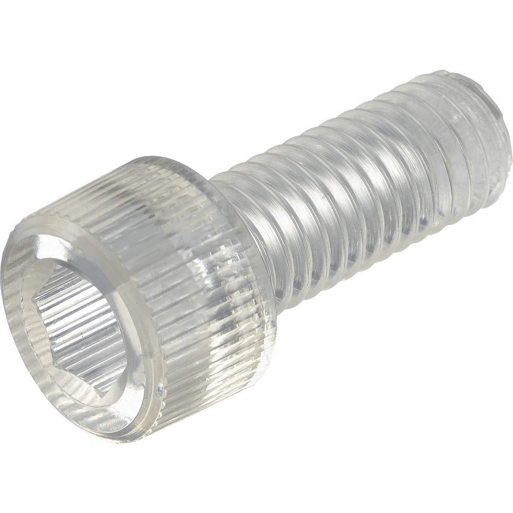 希少 大判リトグラフ ダン・パルトゥシュ 「シクラメン」