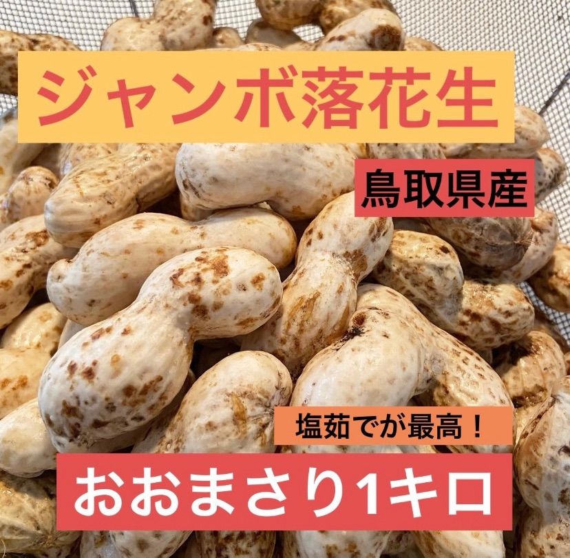 ジャンボ落花生おおまさり三キロ箱込み土つき - 食品