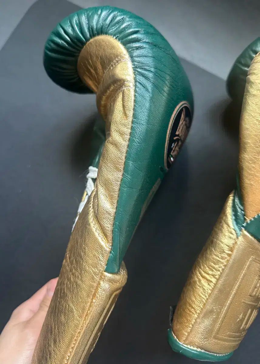 WBC 世界タイトルマッチ トランクス ワッペン スポンサー募集中