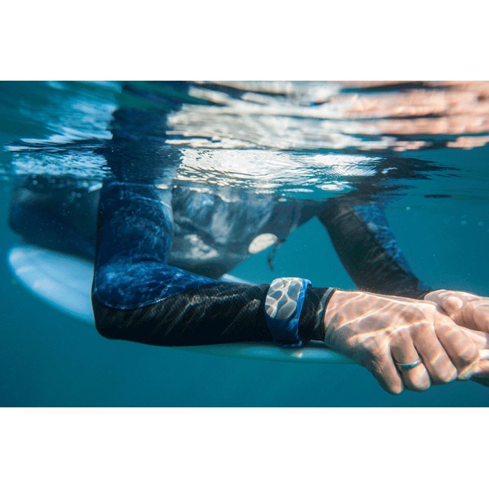 SHARKBANZ 2 シャークバンズ2 美品 SHARKBANZ 2 シャークバンズ 2 サメ