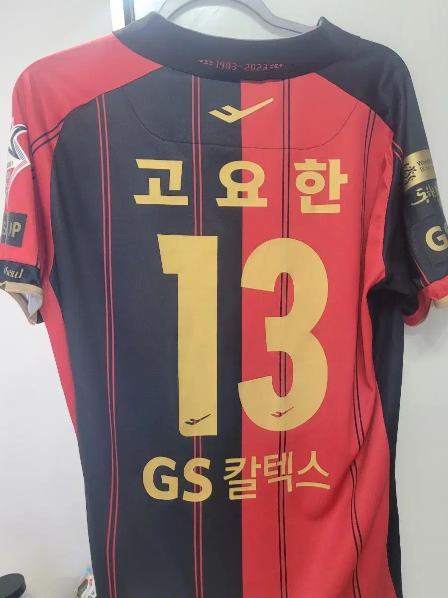 2025 fc SEOUL ソウル 静かな