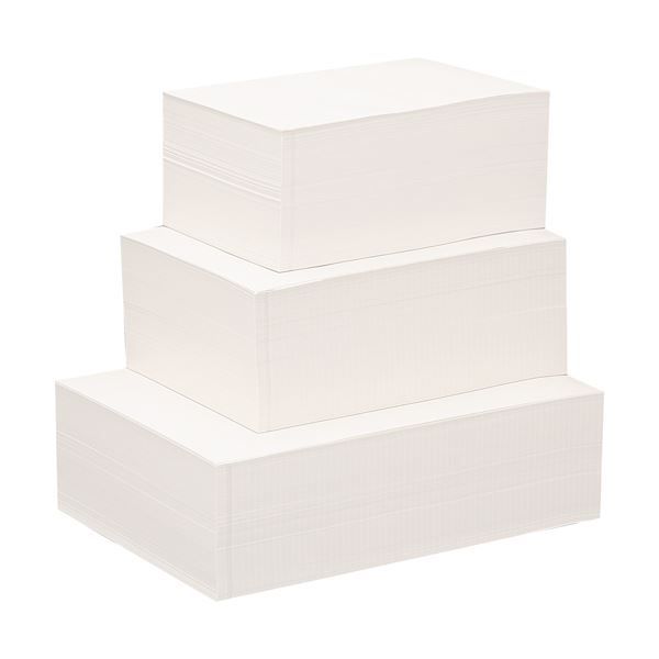 TANOSEE プリンター用薬袋A5(148×210mm) 1セット(4000枚:500枚×8冊)