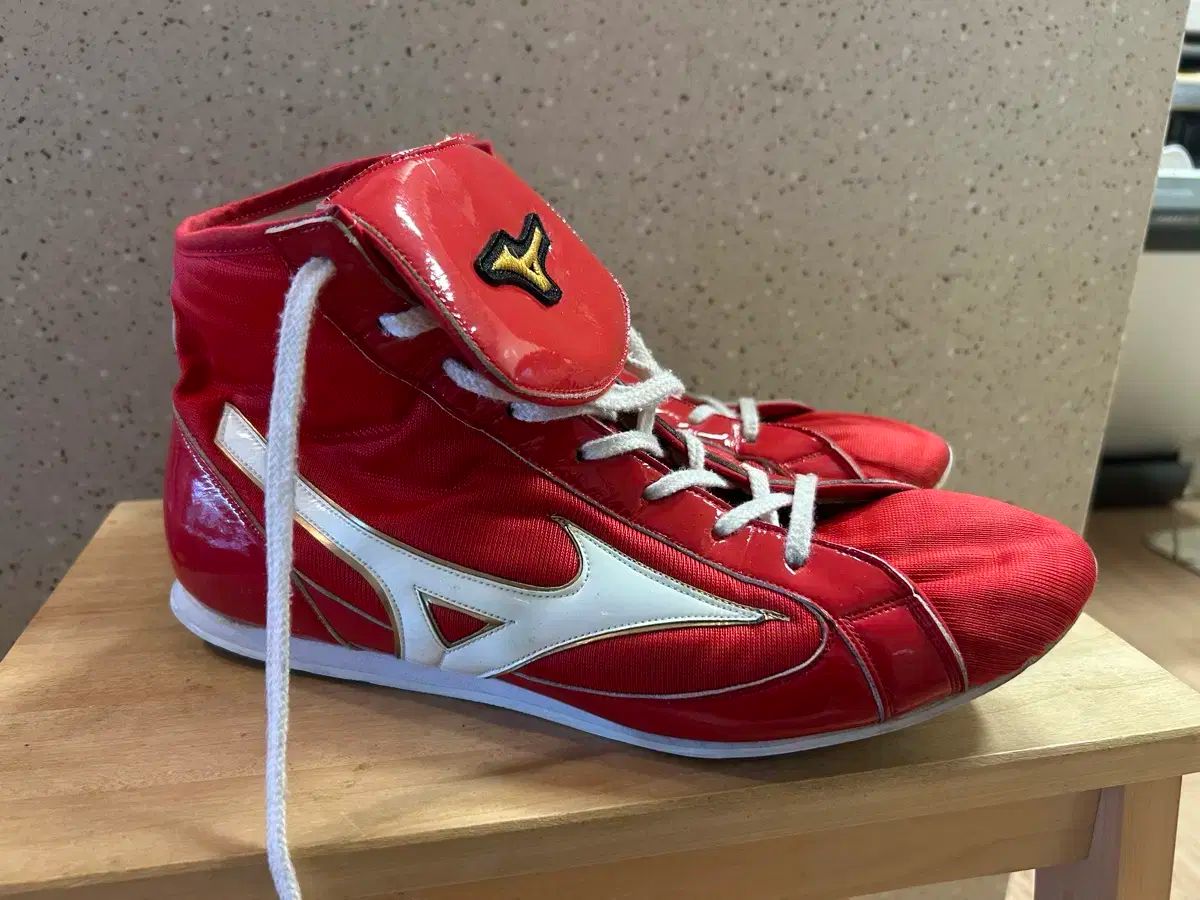 Mizuno ミズノ ダンウッド ボクシング シューズ 275