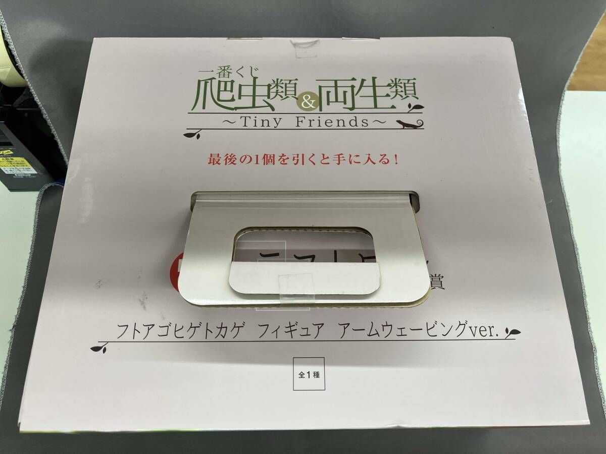 ラストワン賞 フトアゴヒゲトカゲ アｰムウェｰビングver. 一番くじ