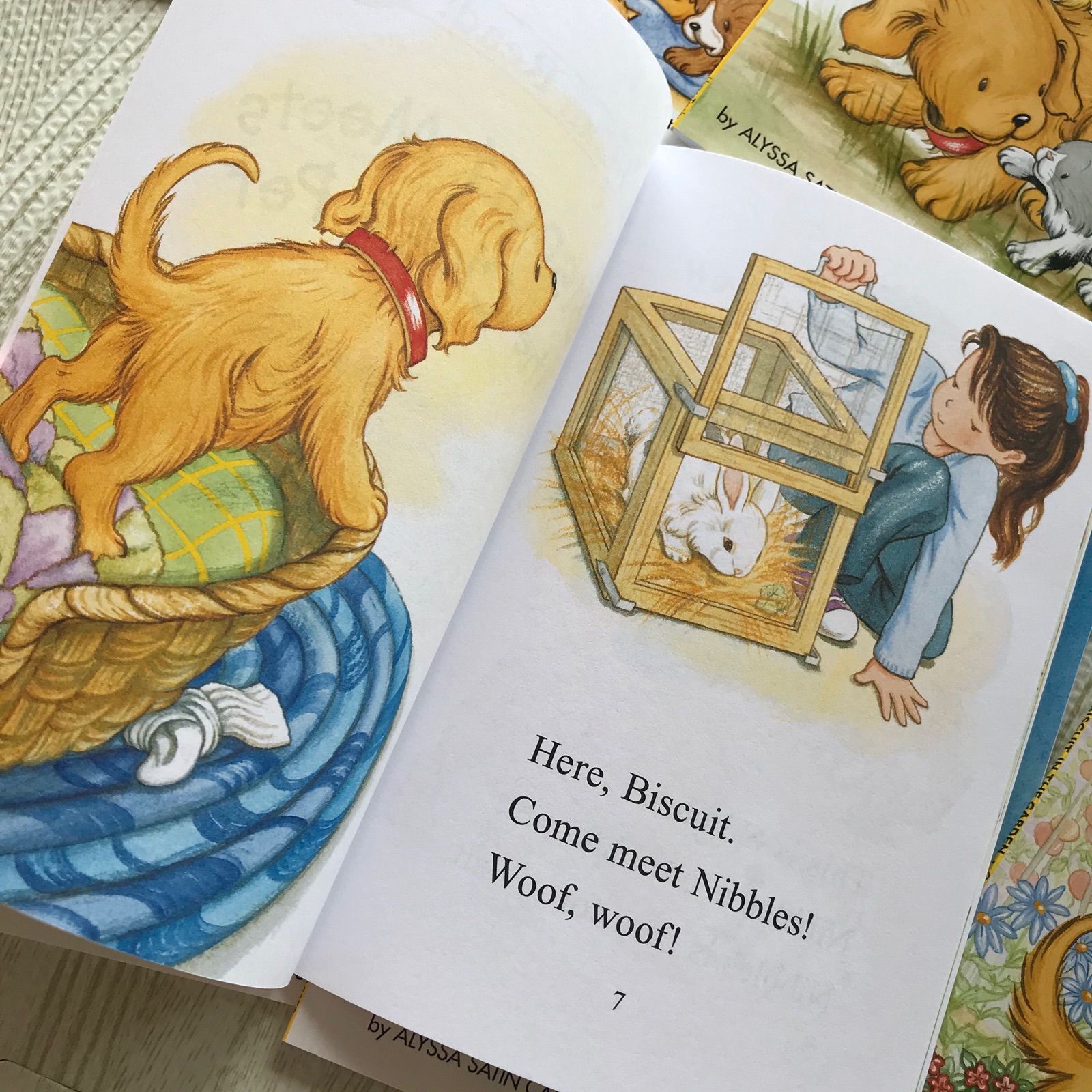 ☆新品☆ Biscuit ビスケット 英語 絵本 リーダー 8冊セット