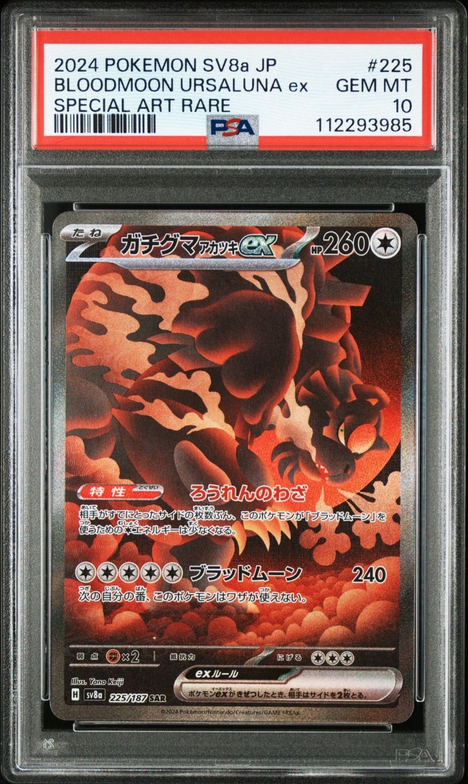 PSA10 4枚連番 ガチグマアカツキex SAR SV8a テラスタルフェス PSA10 4枚連番 ガチグマアカツキex SAR SV8a テラスタルフェス