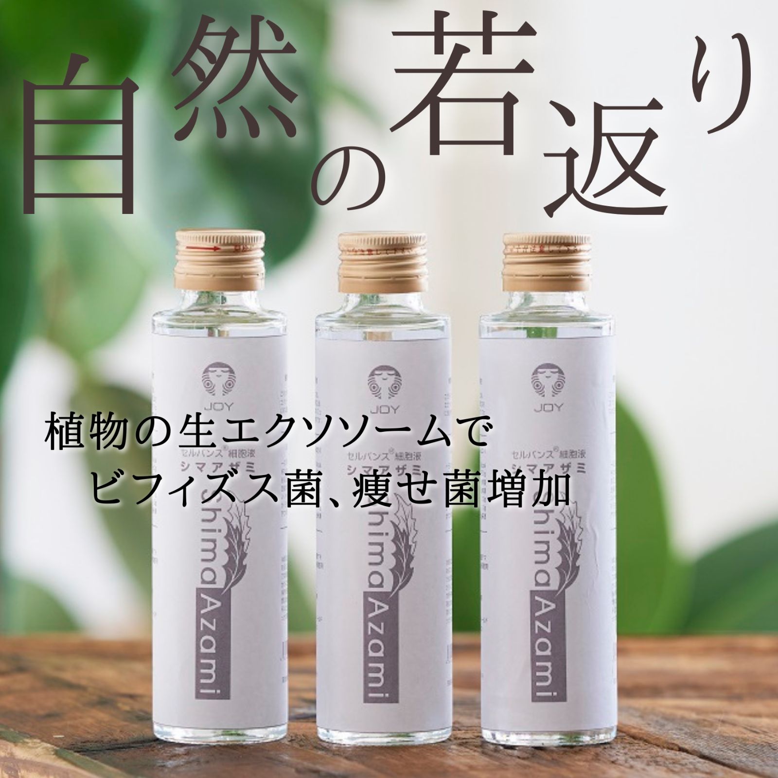 【痩せ菌10倍！スリムボディ実現】植物エクソソームで理想の体型を‼︎ ❗️【究極のビューティードリンク】🌱 ダイエットと肌の若返り