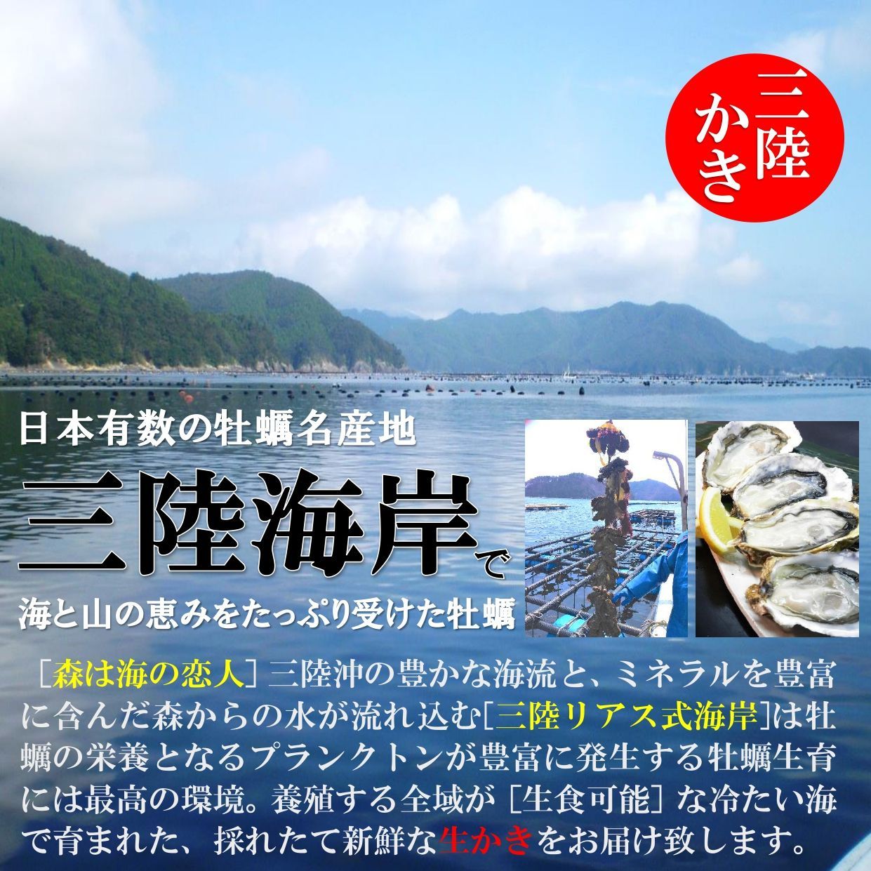 生食用 殻付生牡蠣 大粒 15個セット 三陸産の生かきで自宅がオイスターバーに！-3