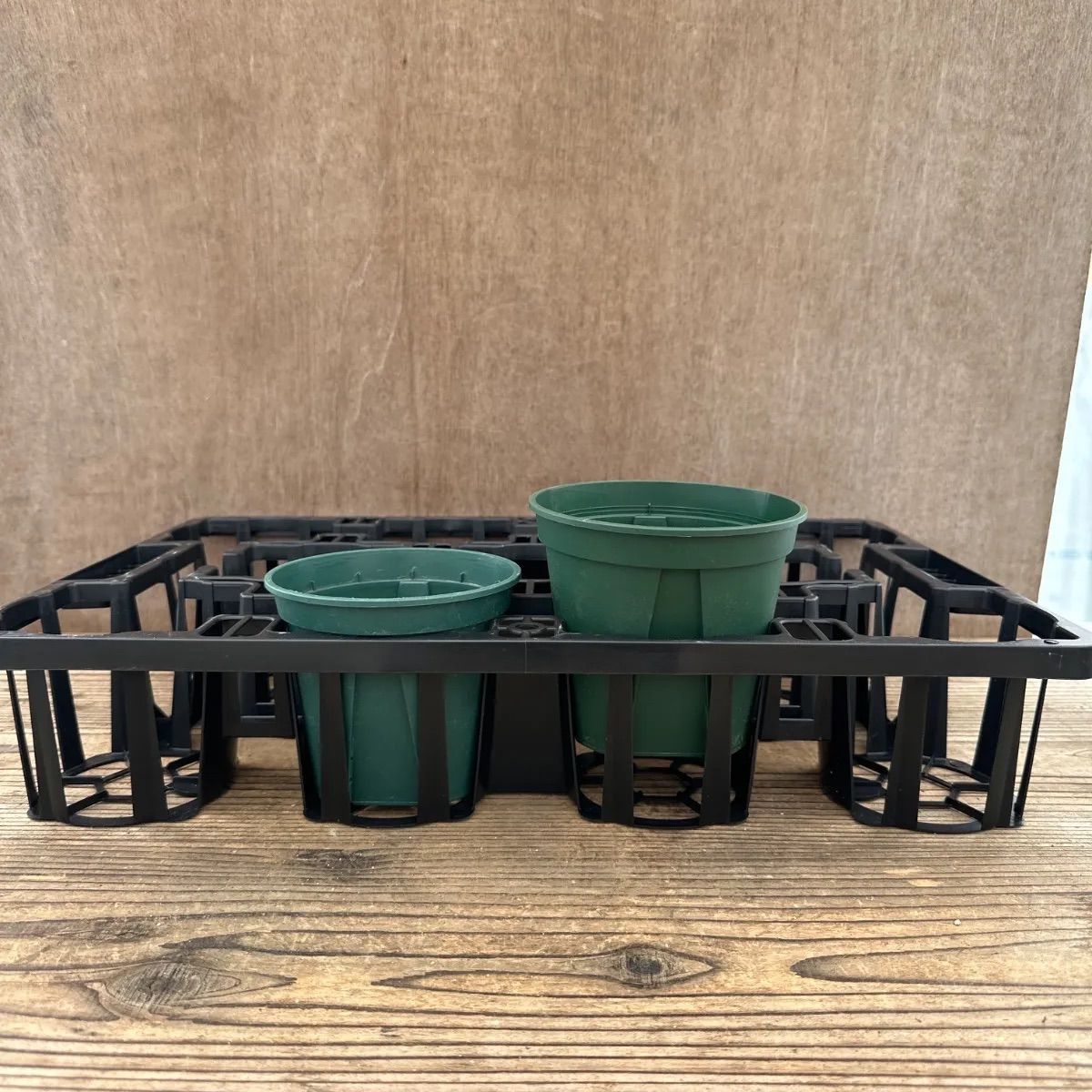 中古資材サンプル】4号用 11穴 園芸トレー 12枚セット 4寸 育苗用