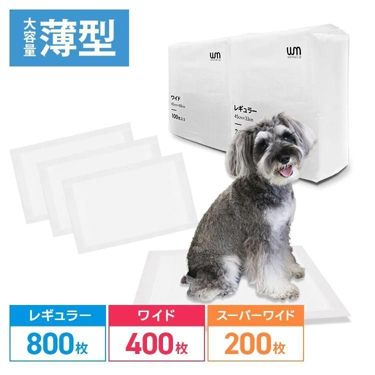 レギュラー
