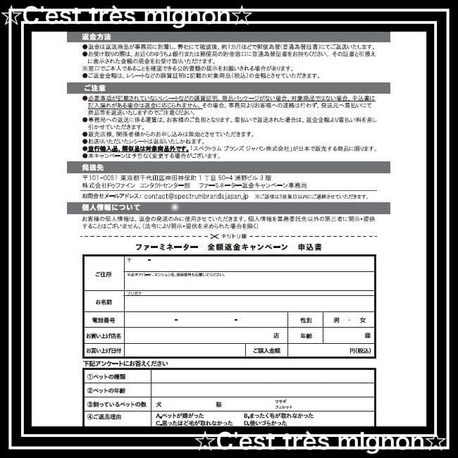ブラシ 獣医師監修
