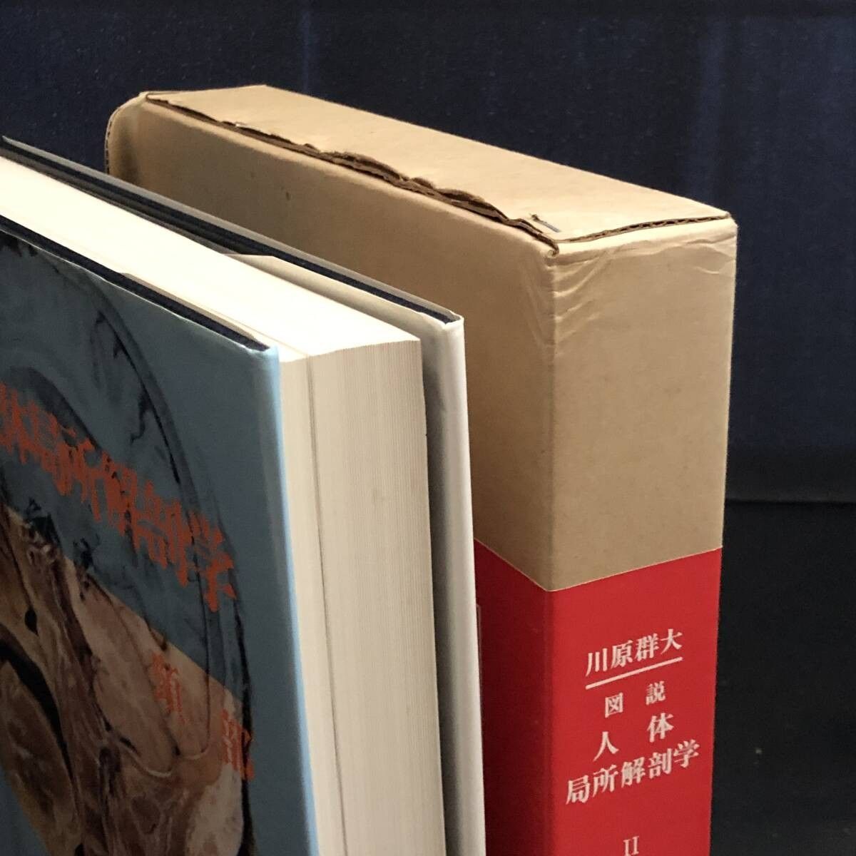 図説 人体局所解剖学 頭部/胸部/ 頸部/腹部/上肢・下肢・脊柱 全5巻6