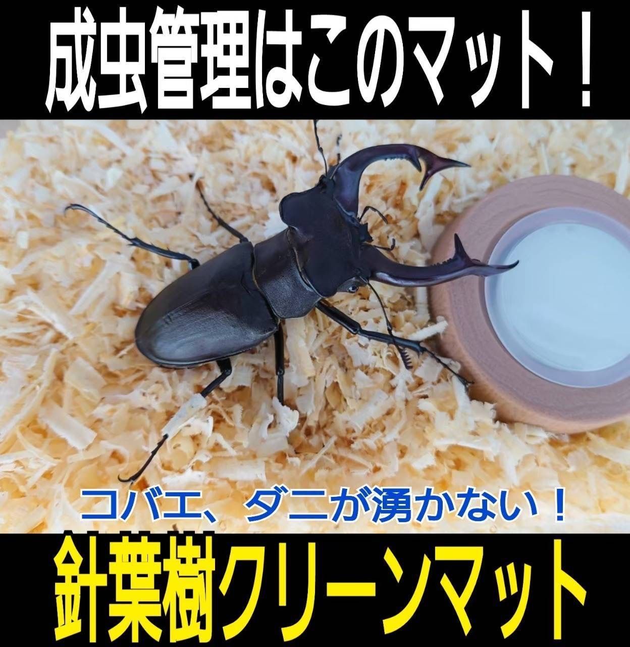 菌床粉砕クワガタマット【60L】菌糸は甘い香り！自作発酵マット作りの 