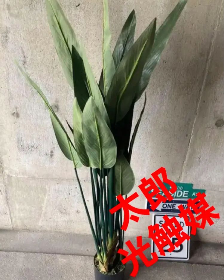 植木鋏 木枝剪定鋏 播州三木 田中久直作刻印名「菊正宗」