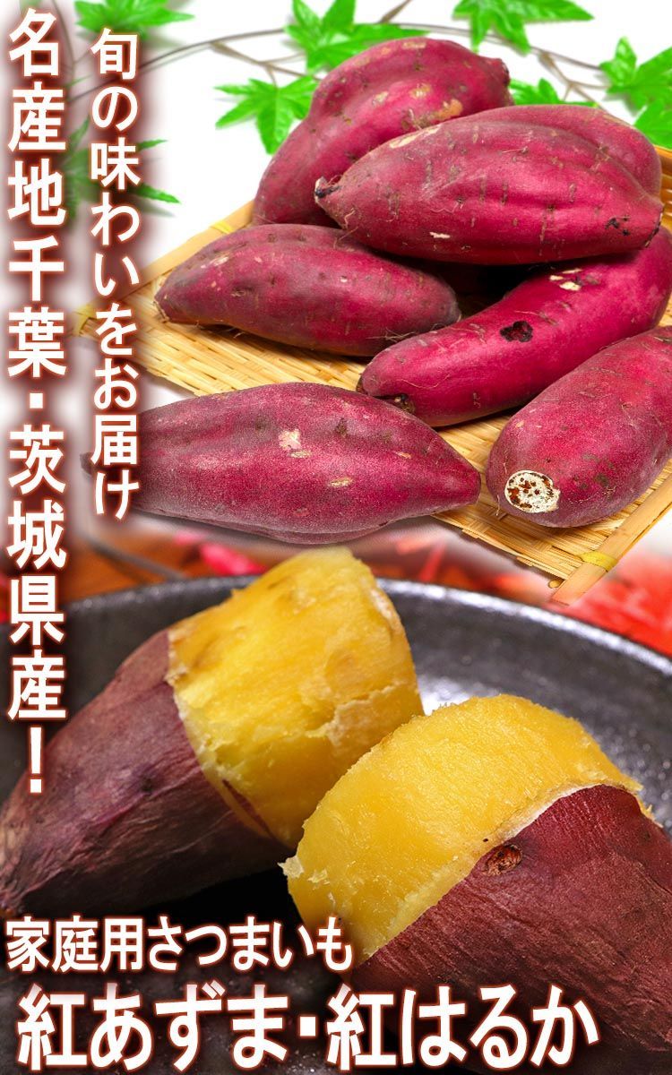 YU 千葉県産　紅あずま　さつまいも　Ｌサイズ　１５Kg 楽天市場】千葉・茨城県産 ”紅あずま” Mサイズ 約5kg さつまいも