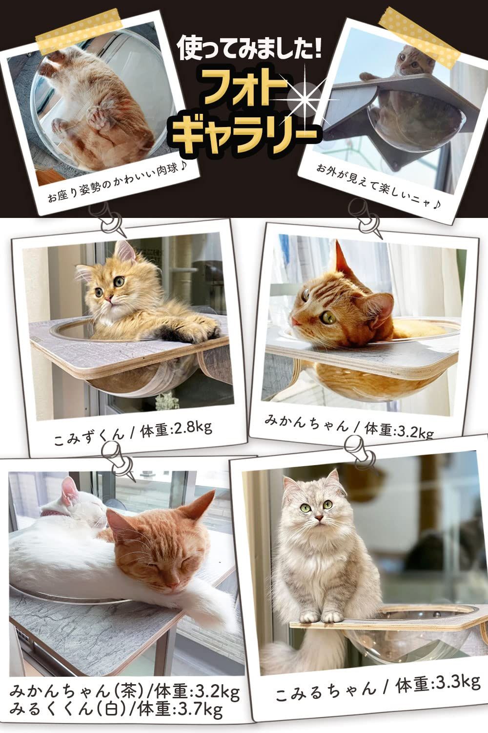 ☆人気商品☆】POOKIE 猫 窓 ハンモック 卸売 スケルトン 窓ベッド 猫