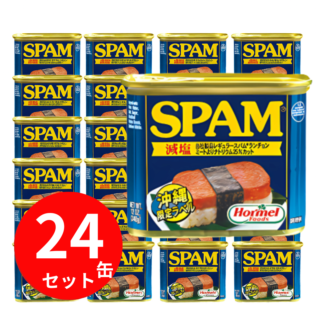 スパム 缶詰 沖縄 減塩 24缶 減塩スパム 340g × 24缶 SPAM 非常 スパム 缶詰 沖縄 減塩 24缶 減塩スパム 340g × 24缶 SPAM 非常