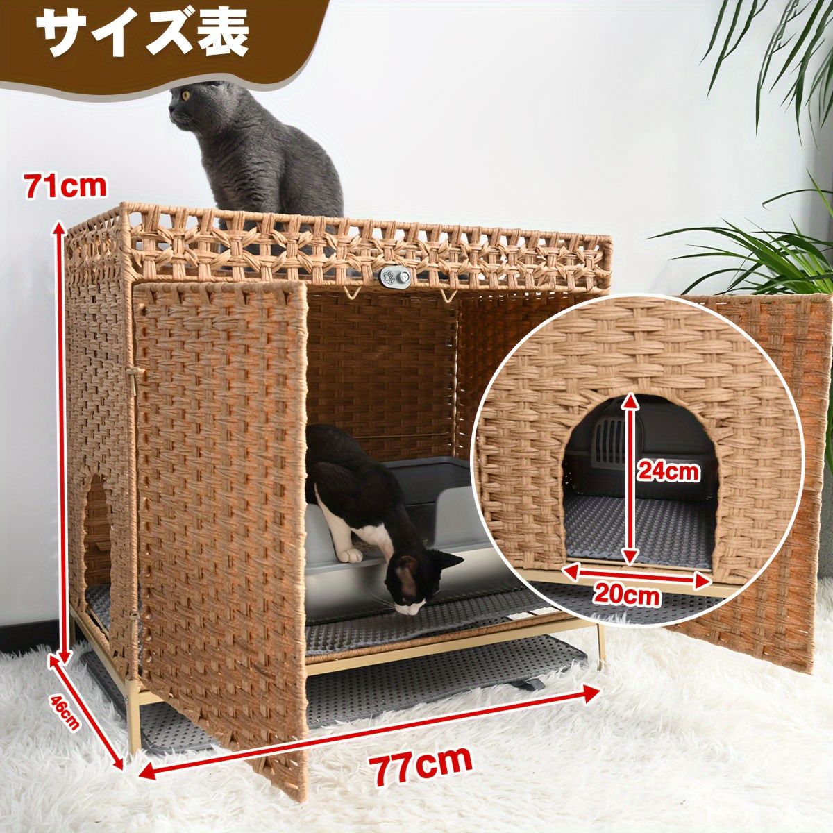 籐製 高さ7