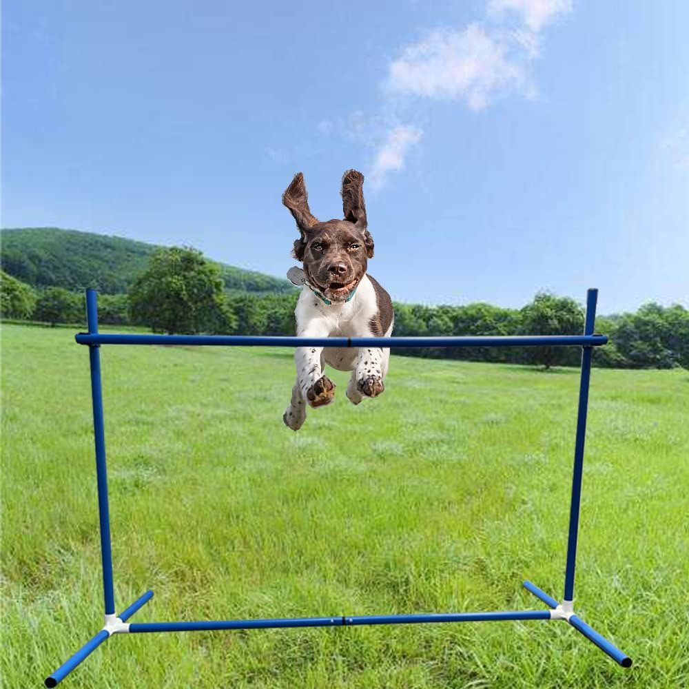 犬用 ハードル 高さ調整可能 アジリティ 犬  おもちゃ 運動 ジャンプバー トレーニング 訓練 運動器具 公園 サインポール コーン 障害 高跳び