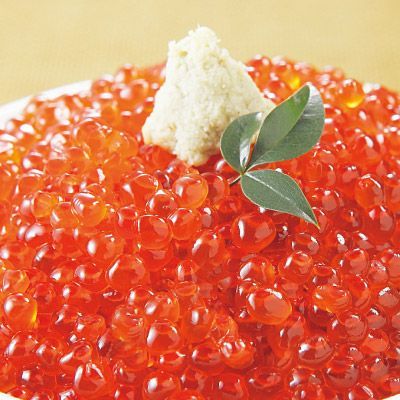 北海道加工 鮭いくら醤油漬け500gセット