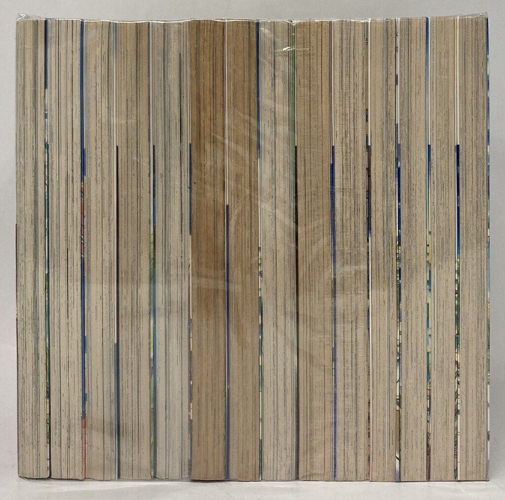 2025年新色！ 講談社 アフタヌーンKC 芦奈野ひとし !! ヨコハマ買い出し紀行 全14巻 セット