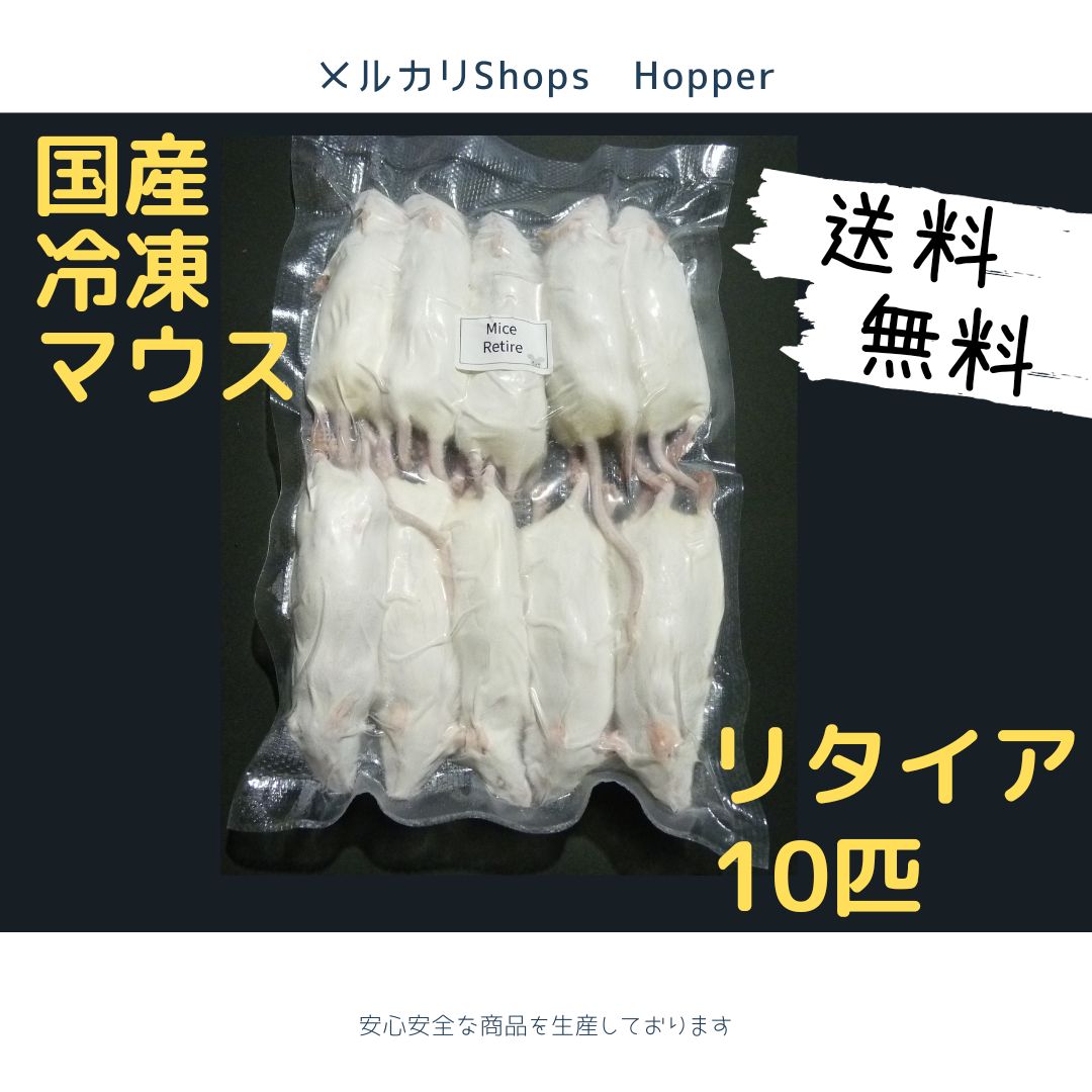 国産冷凍マウス リタイア 10匹 - Hopper - メルカリ